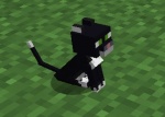 Schwarze Katze